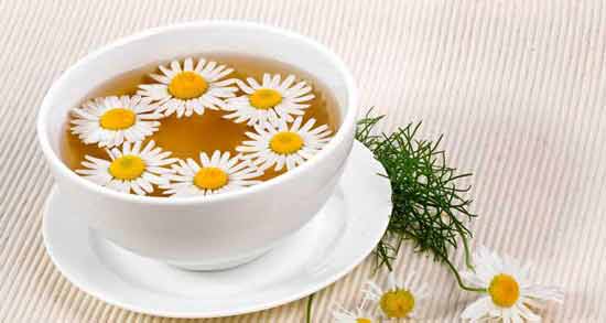 طرز تهیه دمنوش بابونه برای لاغری ؛ کاهش وزن با خوردن دمنوش بابونه