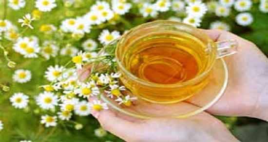 طرز تهیه دمنوش بابونه و به لیمو ؛ آموزش درست کردن دمنوش بابونه و به لیمو برای سلامتی