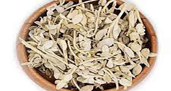 طرز تهیه دمنوش پولک دستور تهیه دمنوش پولک برای درمان کیست تخمدان