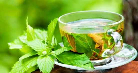 طرز تهیه دمنوش پونه و دارچین آموزش درست کردن دمنوش پونه و دارچین در منزل