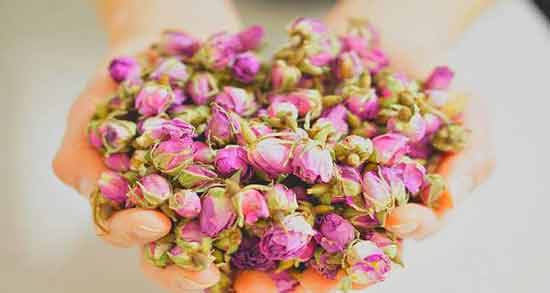 طرز تهیه دمنوش گل محمدی برای یبوست و درست کردن دمنوش گل محمدی برای درمان یبوست