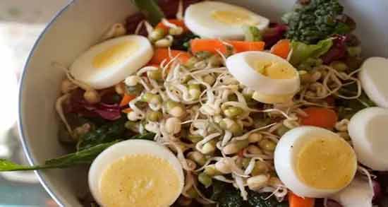 طرز تهیه سالاد جوانه گندم برای چاقی صورت ؛ آموزش درست کردن سالاد جوانه گندم برای چاقی