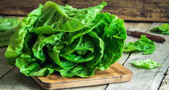 طرز تهیه عرق کاهو ؛ آموزش درست کردن عرق کاهو در منزل