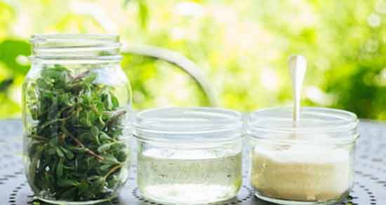 طرز تهیه عسل خرفه ؛ آموزش درست کردن عسل خرفه
