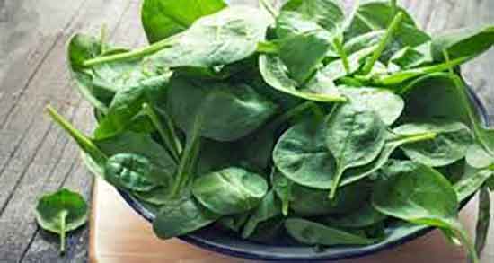 طرز تهیه غذا با اسفناج برای کودک ؛ دستور تهیه غذا با اسفناج برای اطفال