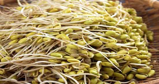 طرز تهیه و مصرف جوانه گندم ؛ آموزش درست کردن جوانه گندم