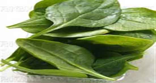 طرز تهیه پوره اسفناج برای کیک ؛ دستور تهیه پوره اسفناج برای انواع کیک