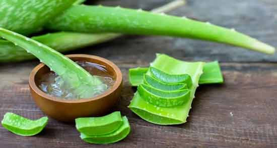 طریقه مصرف آلوئه ورا برای یبوست ؛ نحوه صحیح مصرف آلوئه ورا برای درمان یبوست
