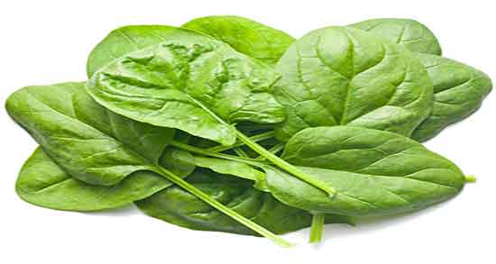 طریقه مصرف اسفناج در طب سنتی ؛ دستور مصرف اسفناج از نظر طب سنتی