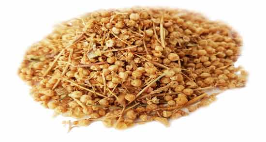 طریقه مصرف افتیمون در طب اسلامی ؛ روش استفاده افتیمون از دیدگاه طب اسلامی