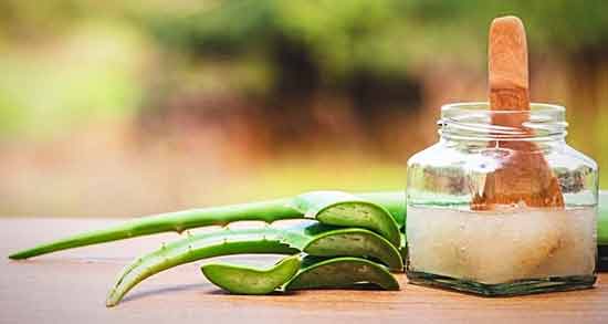 طریقه مصرف خوراکی آلوئه ورا برای دیابت ؛ روش مصرف آلوئه ورا برای افراد دیابتی
