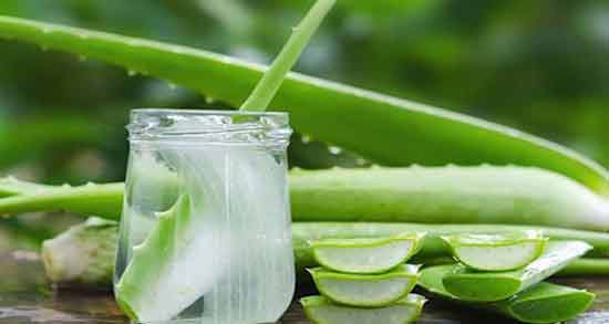 طریقه مصرف خوراکی آلوئه ورا ؛ نحوه صحیح خوردن آلوئه ورا