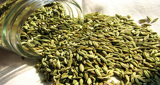 طریقه مصرف رازیانه برای معده ؛ دستور استفاده از رازیانه برای زخم معده
