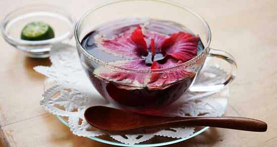 طریقه مصرف چای ترش برای لاغری ؛ روش استفاده از چای ترش برای کاهش وزن