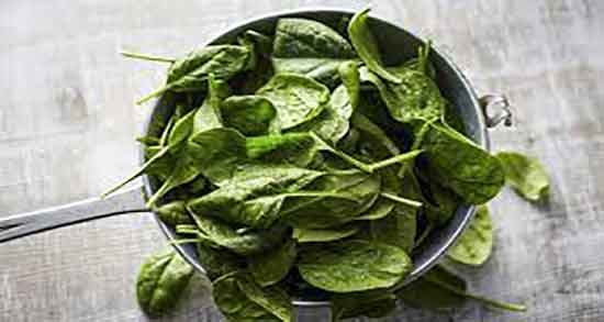 طریقه پخت اسفناج ؛ نحوه پخت اسفناج تازه در خانه چگونه است