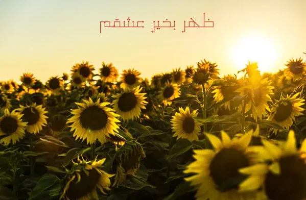 ظهر بخیر عاشقانه؛ متن احساسی و جملات ظهرت بخیر عزیزم و عشقم
