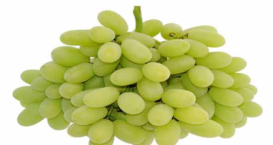 علت نامگذاری انگور ریش بابا ؛ آیا می دانید دلیل نامگذاری انگور ریش بابا چیست؟