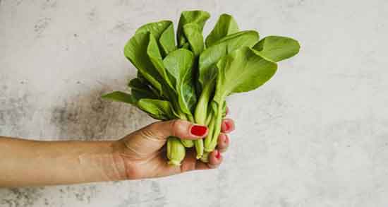 عوارض اسفناج برای نوزاد ؛ مضرات اسفناج برای کودکان و نوزادان چیست