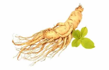 عوارض جینسینگ برای کبد ؛ استفاده از جینسینگچه عوارضی برای کبد دارد