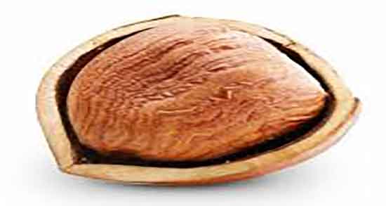 عوارض خوردن بلوط خام ایا خوردن بلوط خام باعث اختلال در روده میشود