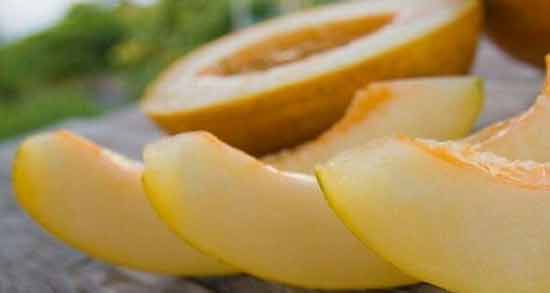 عوارض خوردن خربزه و ماهی ؛ بررسی عوارض خوردن خربزه و ماهی برای سلامتی