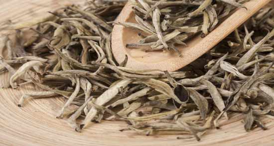 عوارض چای سفید در بارداری ؛ بررسی عوارض و مضرات خوردن چای سفید در بارداری