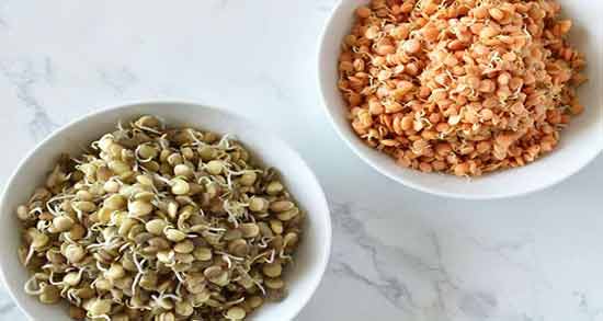 عکس جوانه گندم خشک شده ؛ همه چیز درباره خواص و مشخصات جوانه گندم خشک شده