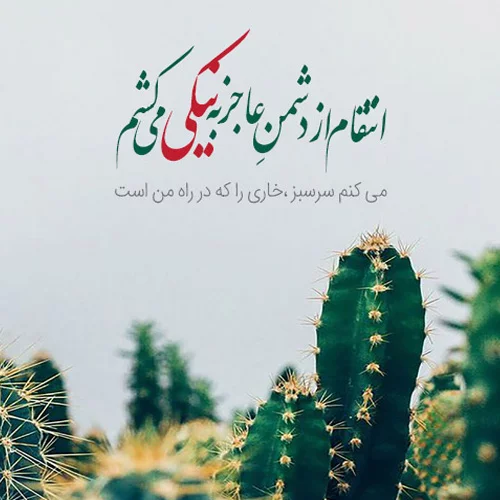 عکس نوشته تاوان پس دادن + متن و جملات با موضوع انتقام و تلافی