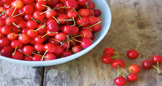 فرق آلبالو و گیلاس ؛ آشنایی با تفاوت های بین آلبالو و گیلاس