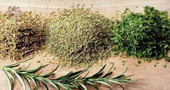فرق مرزه و ترخون ؛ چه تفاوت هایی بین مرزه و ترخون وجود دارد؟