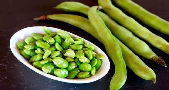 فریز کردن باقلا سبز ؛ نحوه صحیح نگهداری باقلا سبز در فریزر