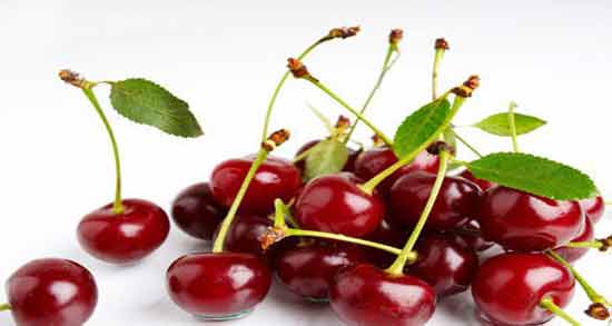 فواید آب آلبالو برای بدن ؛ تقویت سیستم ایمنی بدن با خوردن آب آلبالو