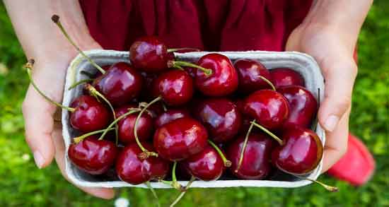 فواید آب آلبالو در بارداری ؛ درمان کم خونی زنان باردار با خوردن آب آلبالو