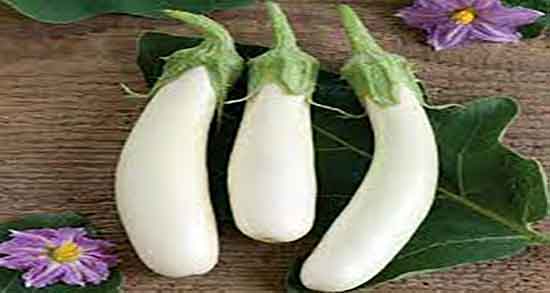 فواید بادمجان سفید ؛ خاصیت استفاده از بادمجان سفید برای وعده غذایی