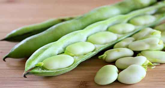 لپه باقالی برای فاویسم ایا مصرف لپه باقالی برای افراد فاویسمی مضره