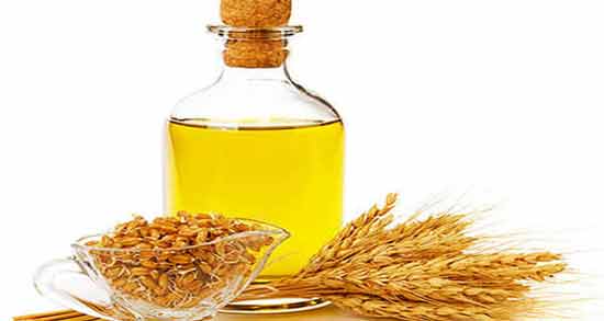 ماسک جوانه گندم برای مو ؛ تقویت مو با استفاده از ماسک جوانه گندم