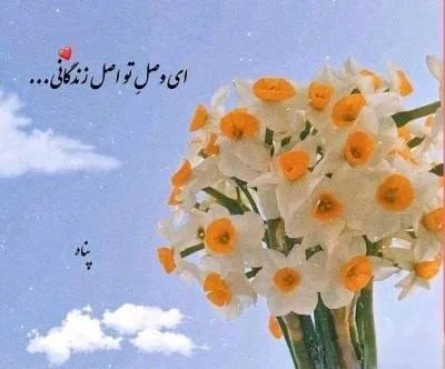 عکس نوشته زیبا با موضوع گل