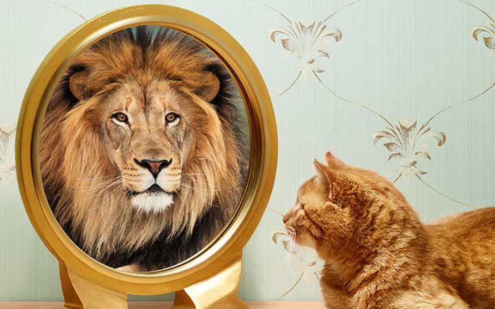 متن انگیزشی و تاکیدی برای بالا بردن عزت نفس و اعتماد به نفس