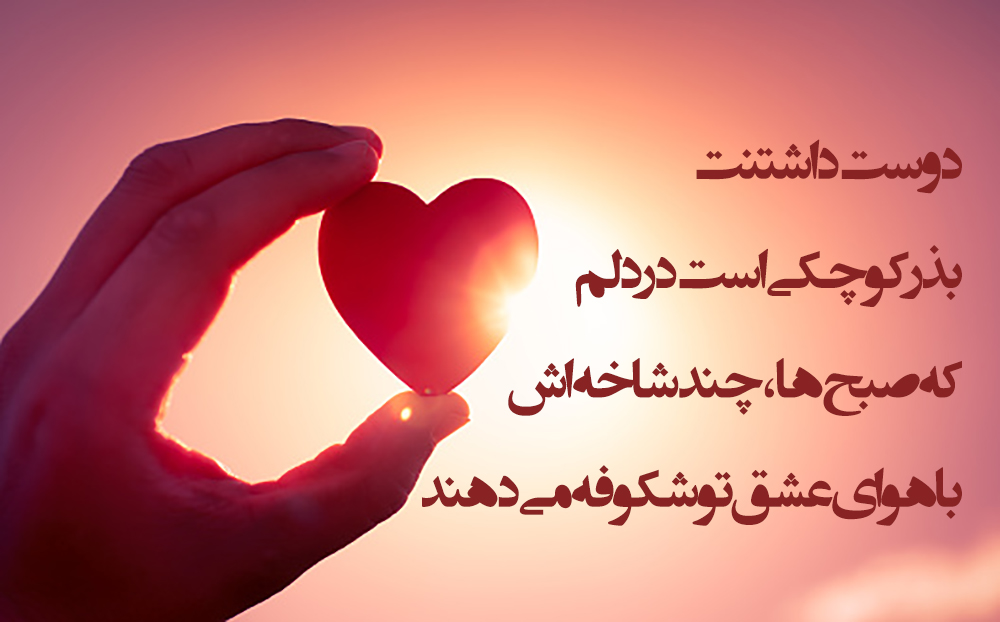 متن بلند عاشقانه خودمونی ❤️ خاص با عکس نوشته های عشقی برای همسر