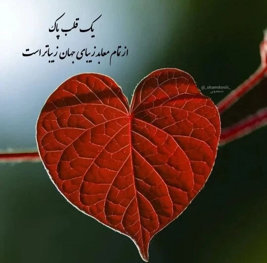 متن خاص در مورد قلب پاک و مهربان با جملات دلنشین مهربانی
