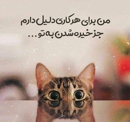 متن خیره شدن احساسی و جملات نگاه عمیق عاشقانه عشق