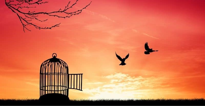 متن در مورد آزادگی + سخنان و جملات کوتاه و آموزنده در مورد آزاده بودن