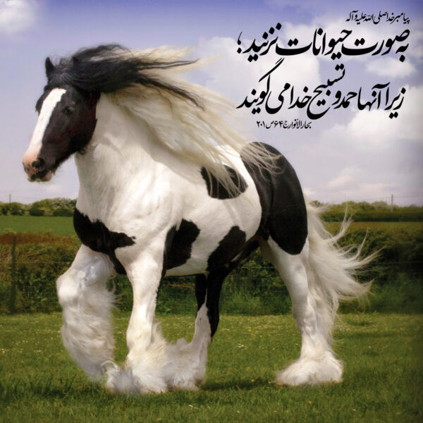متن در مورد حیوانات + سخنان و جملات بزرگان در مورد حیات وحش و حیوان