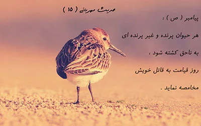 متن در مورد حیوانات + سخنان و جملات بزرگان در مورد حیات وحش و حیوان