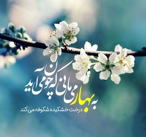 متن درباره سر سرسبزی بهار؛ جملات درباره طبیعت زیبای بهاری