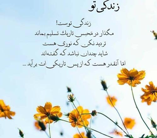 متن درباره شور زندگی و جملات انگیزه دهنده درباره زندگی شیرین و زیبا