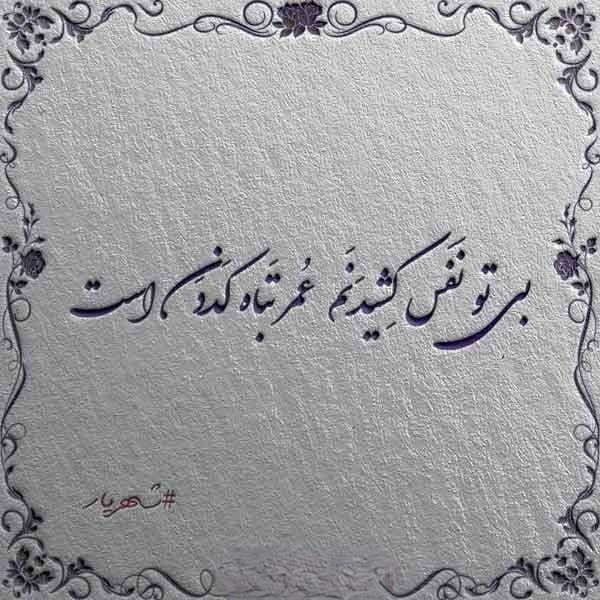 متن دلبری ناب؛ 50 متن عاشقانه دلبر جان کوتاه برای عشاق