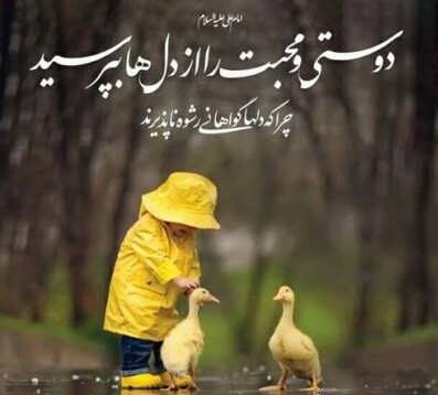 متن زیبا در مورد محبت به حیوانات و سخنان در مورد اهمیت خوبی کردن به حیوان