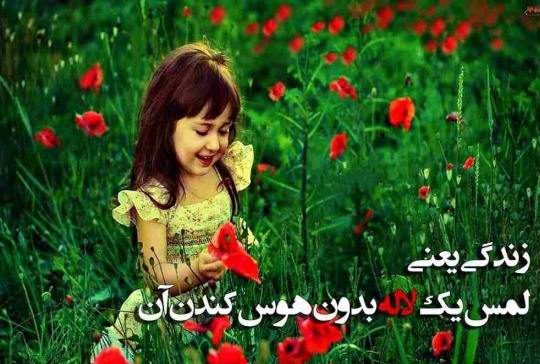 متن زیبا در مورد گل و جملات با معنی و زیبا در مورد زیبایی گل