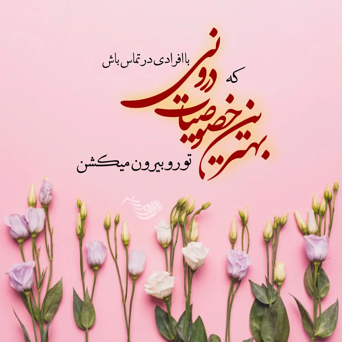 متن شیک با کلاس + جملات لاکچری سنگین خاص و زیبا